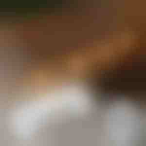 20x lipnių spaustukų šviestuvams tvirtinti | CORDCLIP