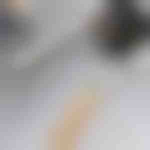 Saugus pūkelių ir plaukų nurinkėjas | LINTY