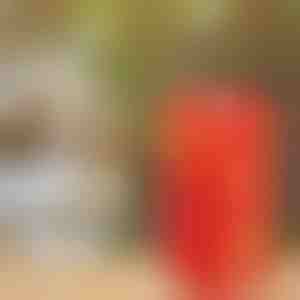 Burbulų gaminimo mašina | BUBBLEXPLODER