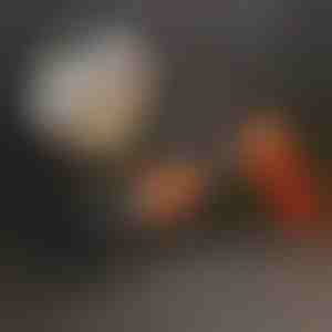 Galingas vinių pistoletas | NAILBLAST