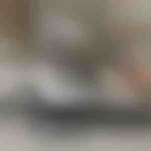 Aukšto slėgio garų valytuvas | STEAMAX