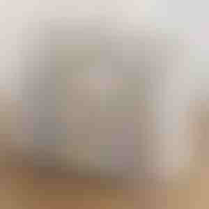 Permatomas sukraunamas batų laikymo dėklas | DURASTOR